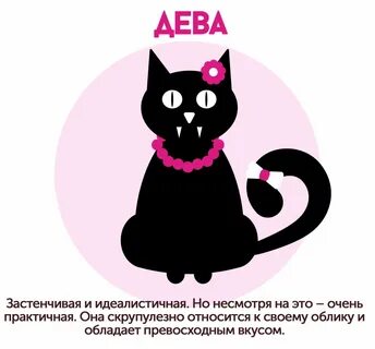 Дева кот