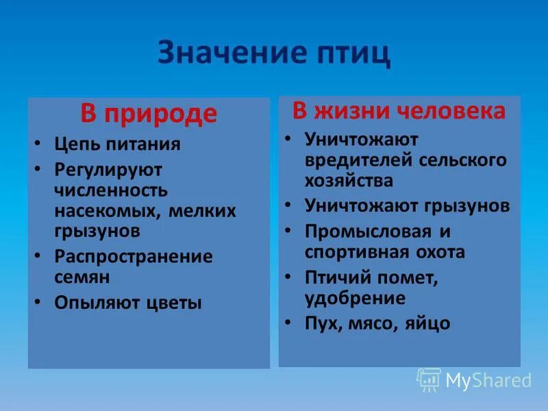 значение птиц в жизни человека. значение птиц в природе и жизни человека. роль птиц в природе и жизни человека. значение птиц в природе 7 класс. значение птиц в жизни человека.