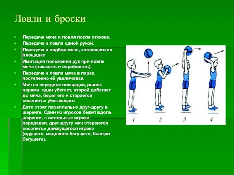 Бросание и ловля. Броски и ловля мяча. Ловля и передача мяча. Броски и ловля мяча двумя руками. Броски и ловля мяча на месте.