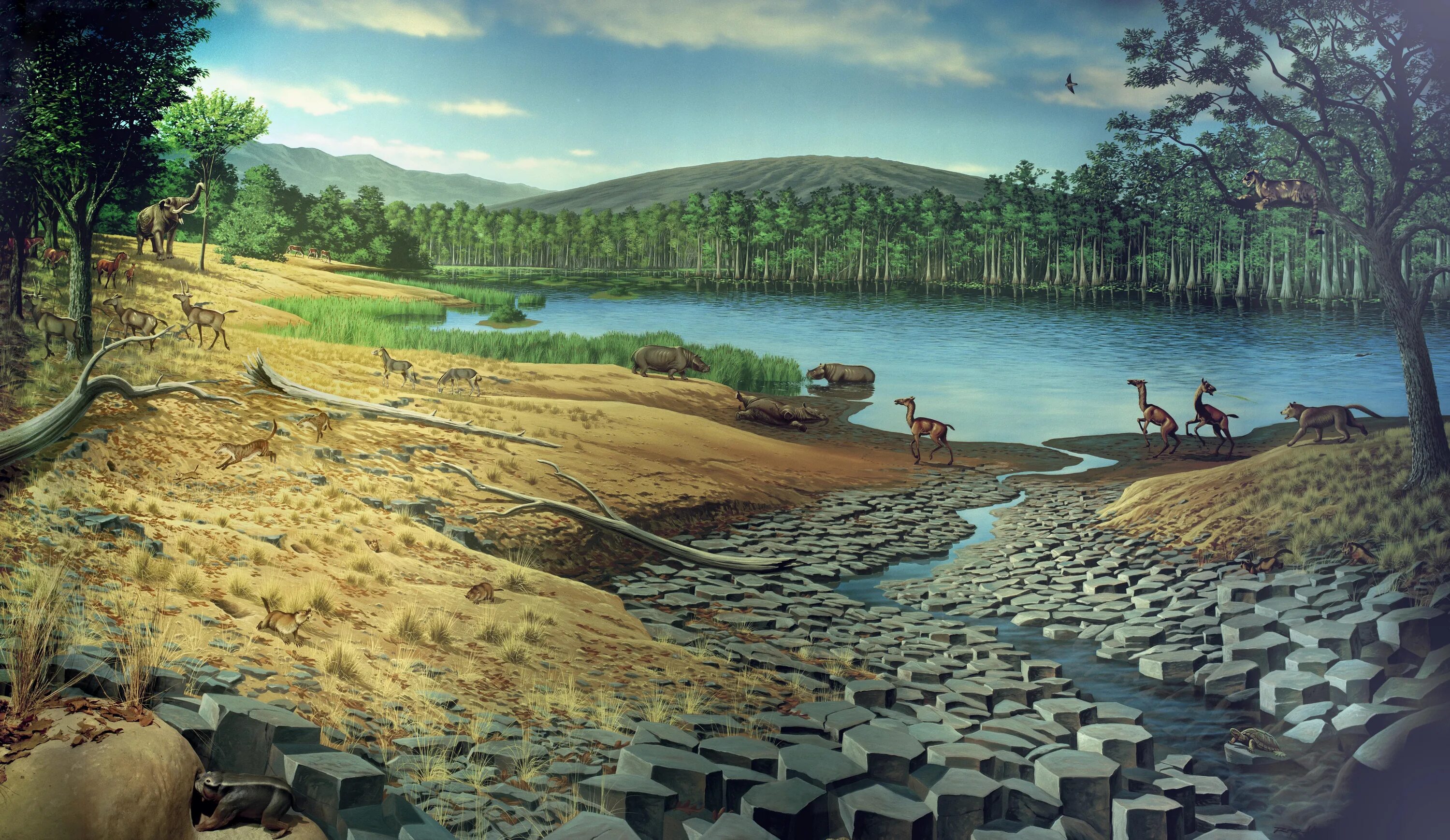 Harsh environments