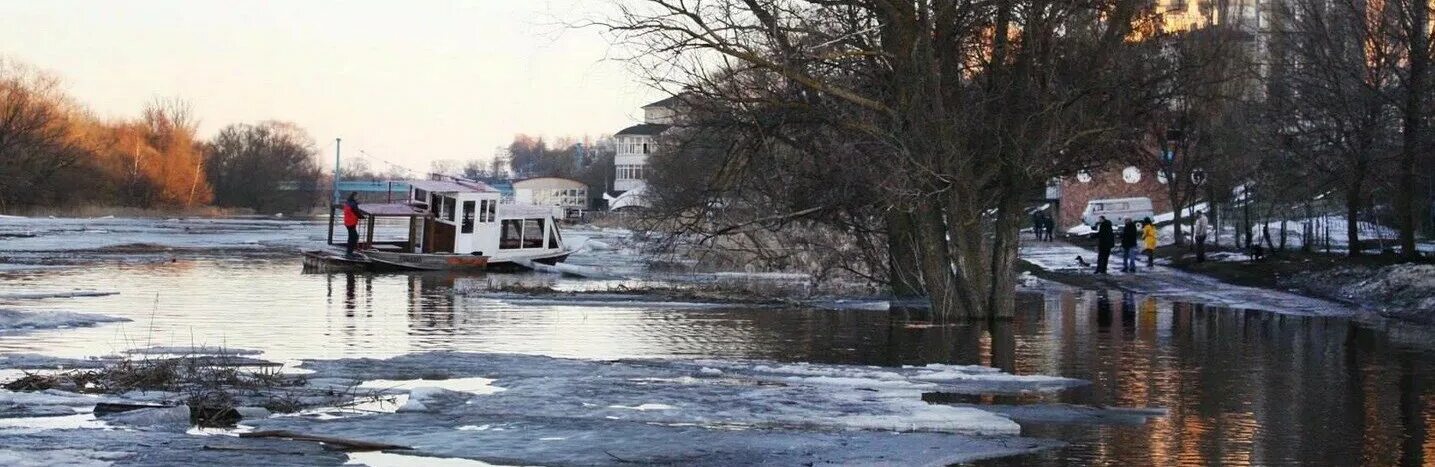 Уровень воды река цна. Тамбов Цна уровень воды. Половодье в Тамбове на Цне. Река Цна зимой. Уровень воды в река Цна Тамбов.