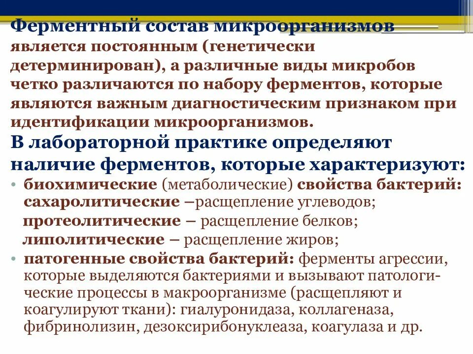 Протеолитические свойства бактерий. Липолитические ферменты микроорганизмов. Протеолитические ферменты бактерий. Протеолитические свойства микроорганизмов. Липолитические свойства микроорганизмов.