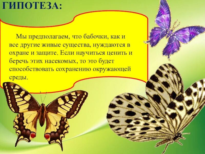 День изучения бабочки. Удивительный мир бабочек презентация. Бабочки для презентации. Презентация на тему бабочки. Мир бабочек презентация.