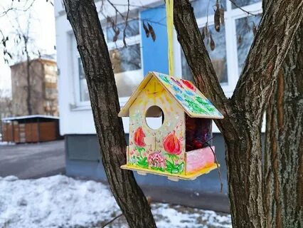 Что смастерили ребята для птиц