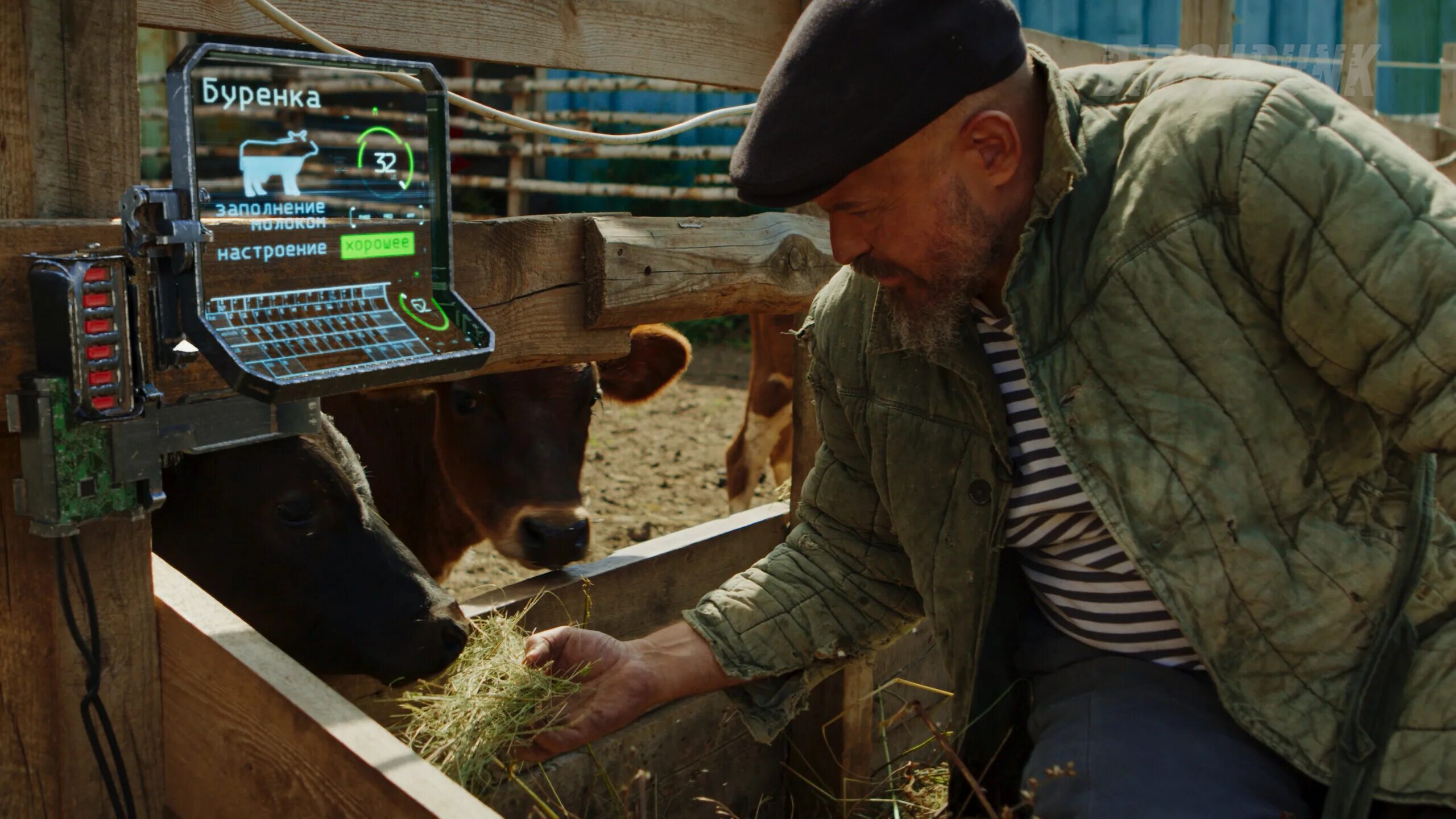 Кибердеревня дата. Russian cyberpunk farm русская кибердеревня. режиссер сергей васильев кибердеревня. birchpunk русская кибердеревня. сергей васильев режиссер russian cyberpunk farm.