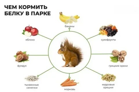 Чем можно дать 16 в