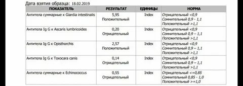 Анализ на корь натощак или нет