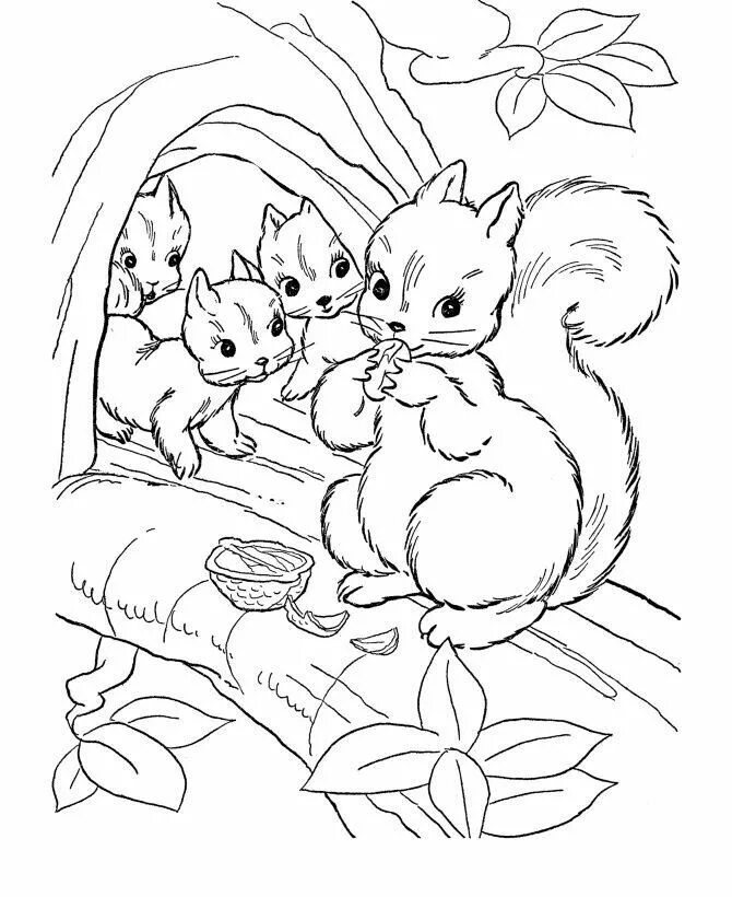 Животные 7 лет раскраски распечатать jumbo book line drawing Clip Art Library