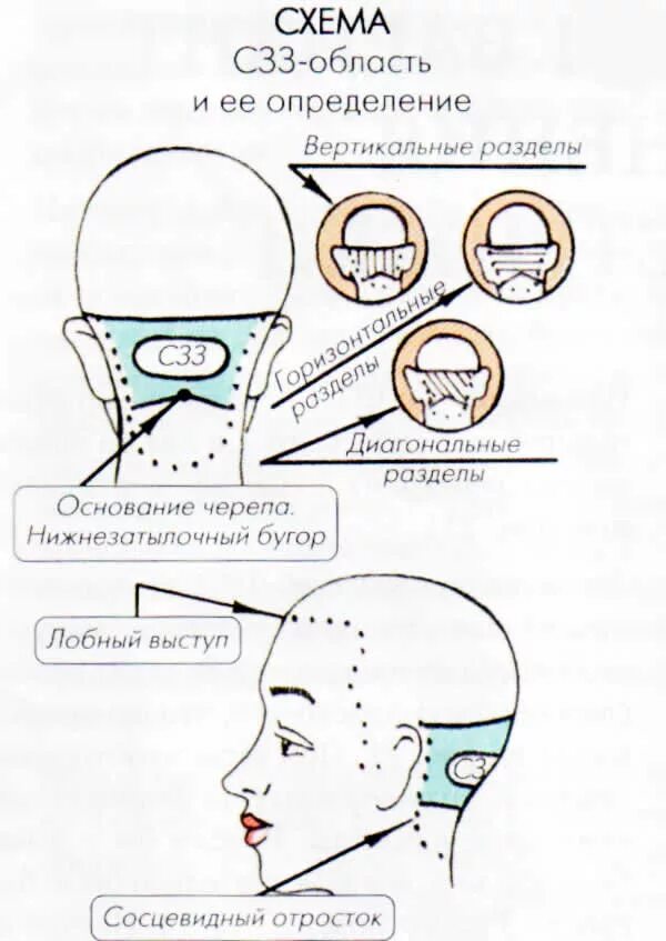 Зона затылка. Зоны и проборы головы для парикмахеров. Теменная зона головы парикмахер. Деление на проборы головы для парикмахеров. Зоны волосяного Покрова головы.