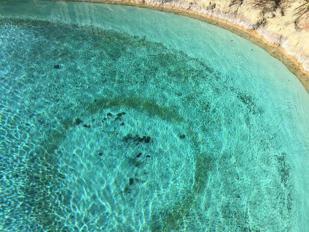 Бассейн водоросли. Водоросли в бассейне. Дно бассейна. Черные водоросли в бассейне. Водоросли на стенках бассейна.