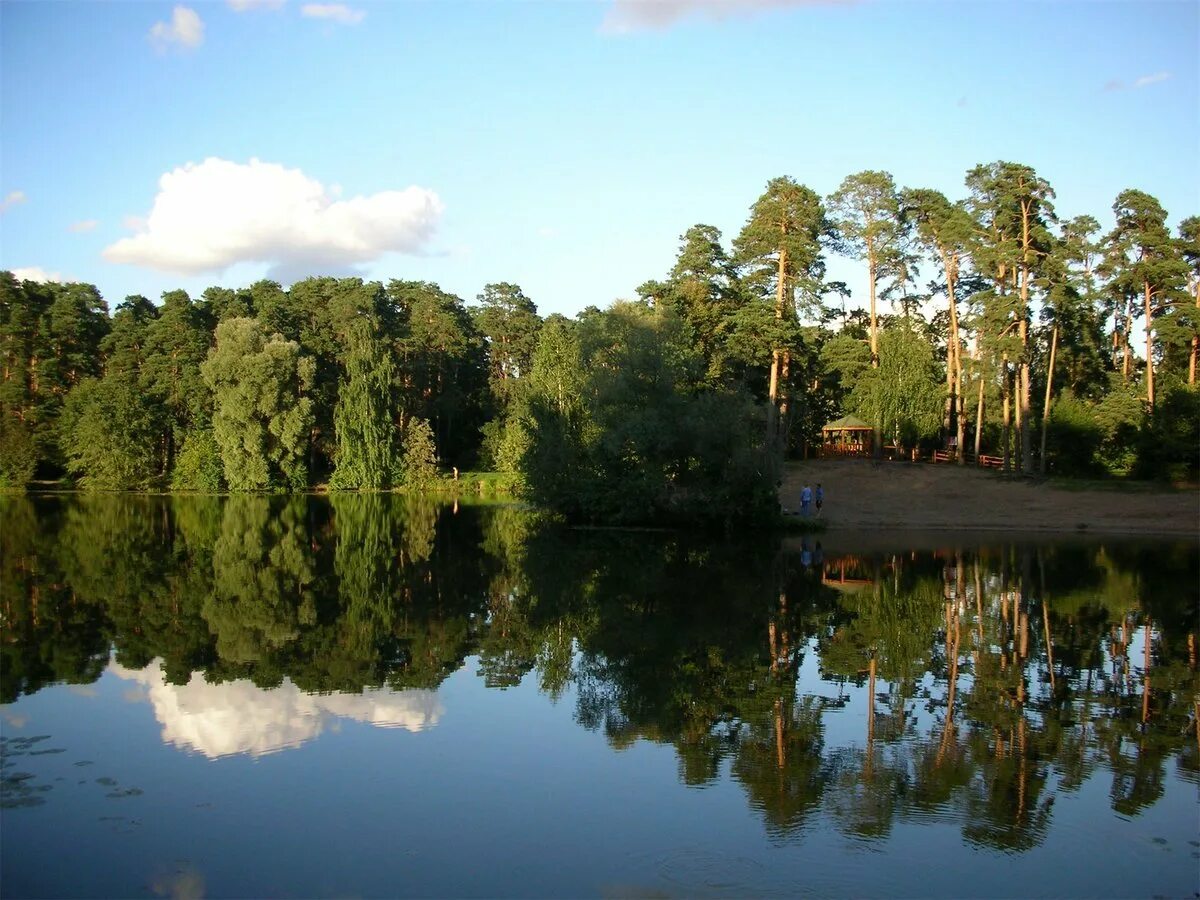 лесопарк сосновка в спб. озеро серебряный бор москва. москва сосновый бор парк 3 пляж. лесопарк серебряный бор москва. остров серебряный бор москва.