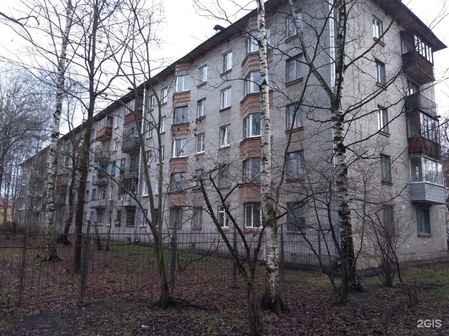 Санкт-петербург, дачный проспект, 21к3. Питер дачный проспект. Дачный проспект 25к1. Проспект ветеранов дачный проспект дом 23. 2.