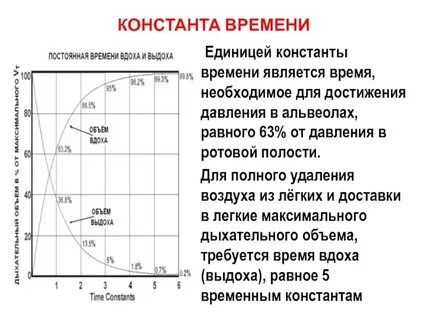 Время константа