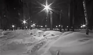 Света снегом стану
