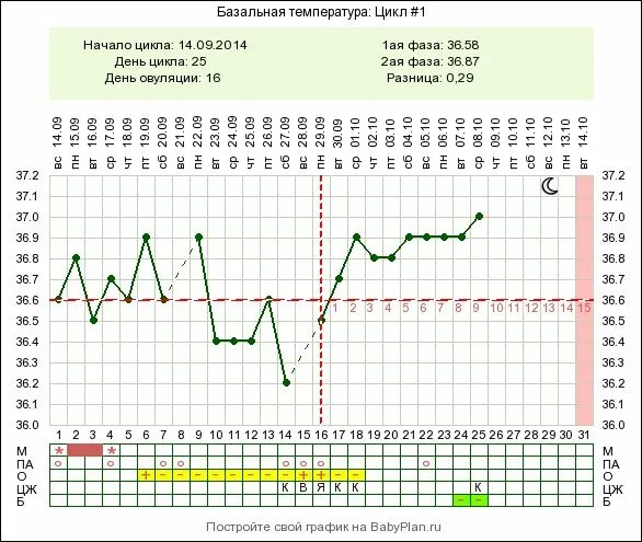 Как определить базальную температуру. Скачки базальной температуры во второй фазе. Скачки БТ во 2 фазе цикла. Базальная температура во время цикла. 25 День цикла БТ 37.