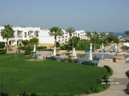 Amphoras beach египет отзывы