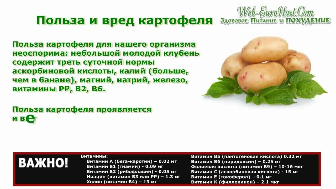 Польза картофеля. Полезные качества картошки. Чем полезна картошка для организма. Полезные и вредные качество картофеля. Почему картошке можно