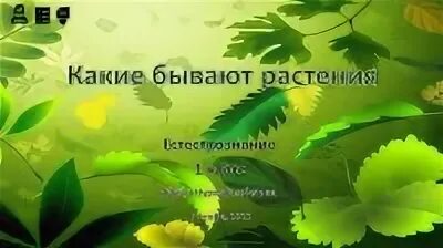 Естествознание 1 класс какие бывают животные