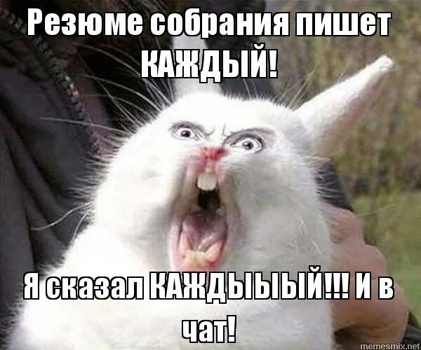 Слова песни катюша. Т̠е̠к̠с̠т̠ п̠е̠с̠н̠и̠ к̠а̠т̠ю̠ш̠а̠. Расцветали веники. Т̠е̠к̠с̠т̠ п̠е̠с̠н̠и̠ к̠а̠т̠ю̠ш̠а̠. Выходила на берег катюша на высокий берег.