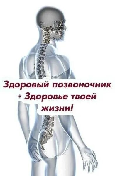 Здоровье позвоночника и суставов. Здоровье позвоночника. Здоровая спина. Здоровый позвоночник. Здоровый позвоночник здоровый организм.