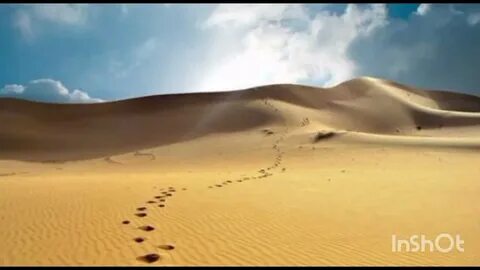Am desert