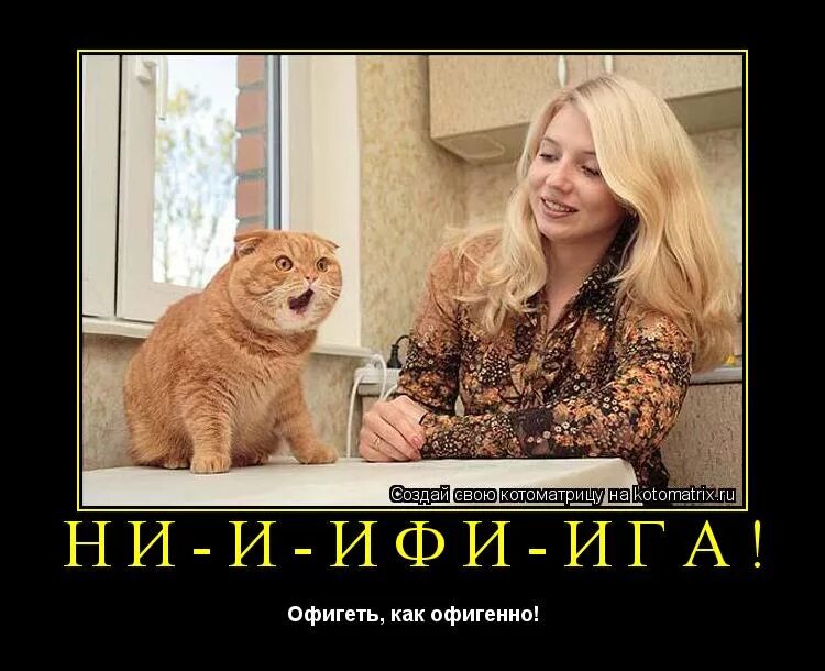 Бабы верят. Бабы верят. Бабы верят. Кастрация кота демотиватор. Бабы верят.