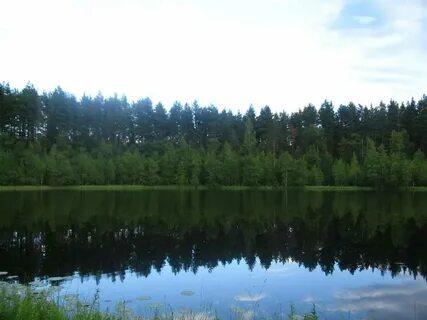 Заметный область