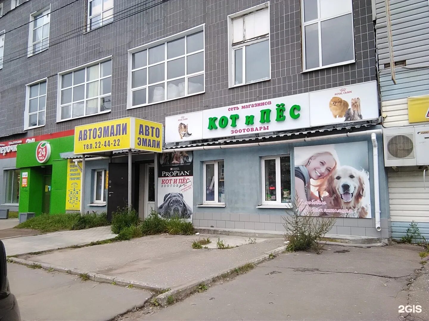 кот и пес магазин зоотоваров чебоксары. кот и собака в магазине. магазин кот и пес иваново. магазин кот и пес. кот в зоомагазине.