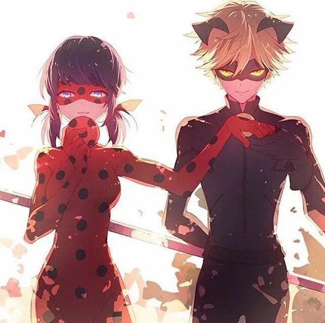 Miraculous ladybug x reader