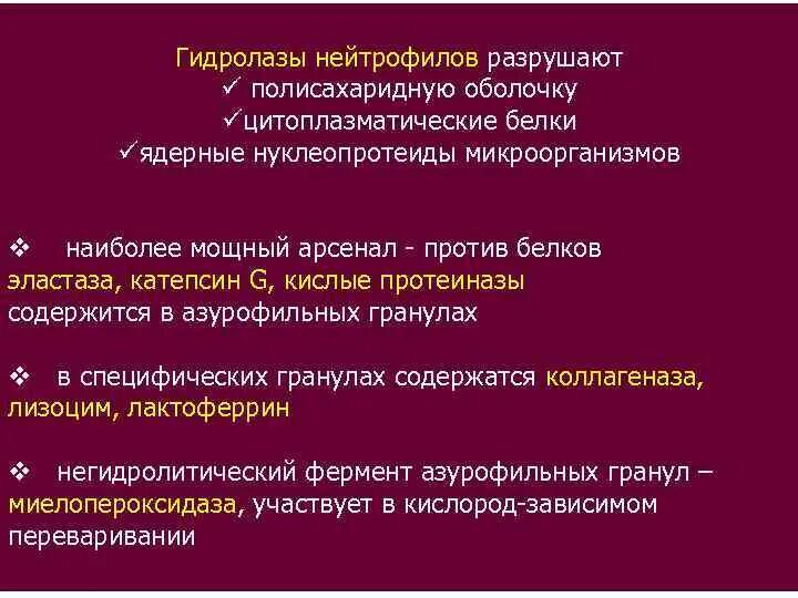 Подклассы гидролаз. Гидролазы ферменты. Гидролазы примеры ферментов. Гидролазы физиология. Класс гидролаз