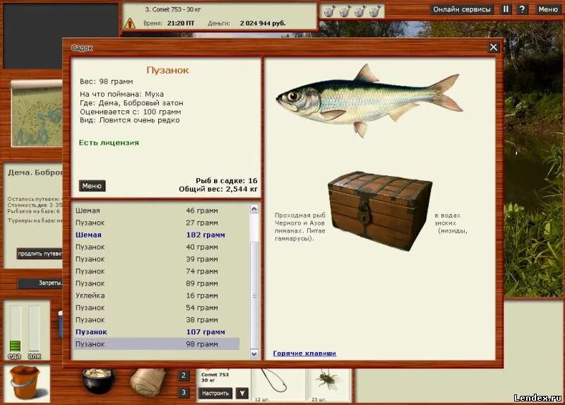 Много денег русской рыбалке. Русская рыбалка. Игра рыбалка уклейка. Клад в игре русская рыбалка. Пузанок русская рыбалка 3.