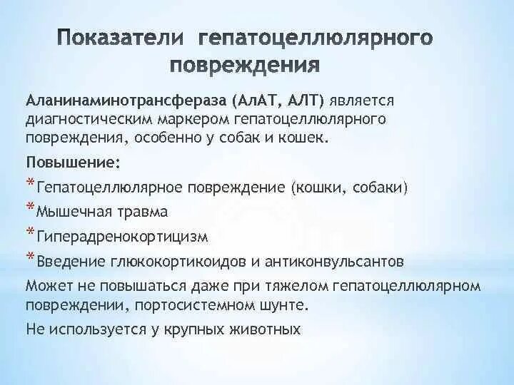 Аланинаминотрансфераза повышена у мужчин в крови что. Активность аланинаминотрансферазы увеличивается. Повышение активности алт является маркером. Определение активности аланинаминотрансферазы в крови. Аланиновая трансаминаза.