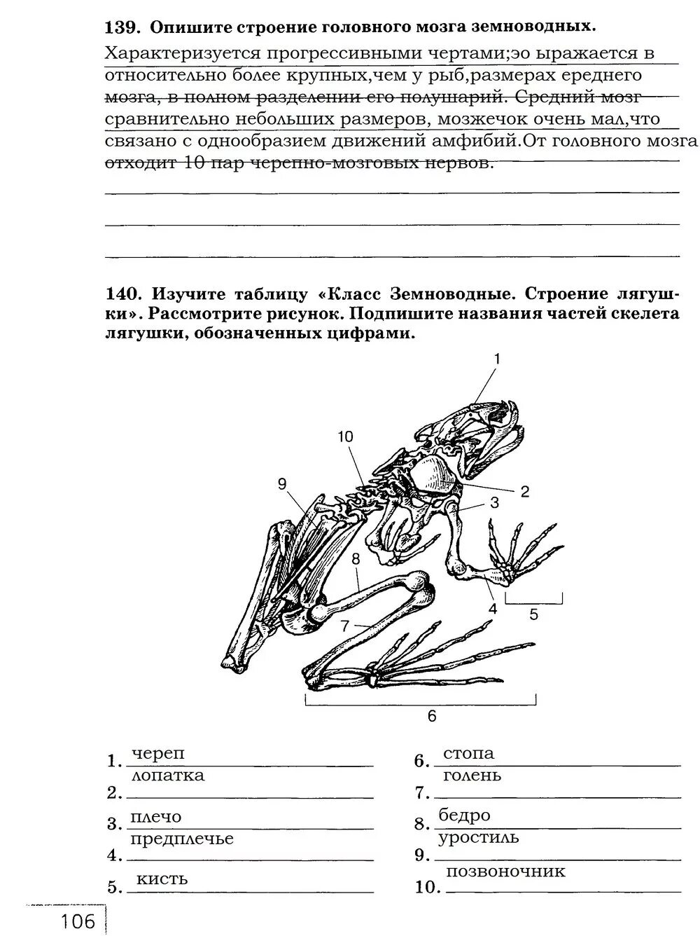 Тест по земноводным с ответами