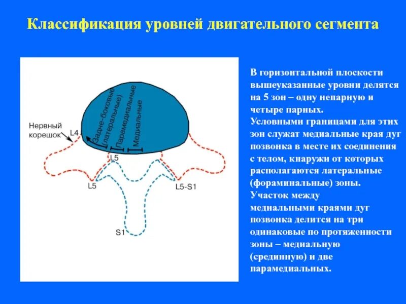 Сегменты границы