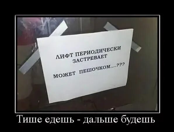 Поговорки тише едешь. Пословица тише едешь дальше будешь. Тихо едешь дальше будешь. Тише едешь дальше будешь иллюстрация. Тише едешь дальше будешь картинки.