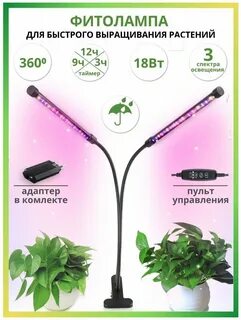Светофор лампы для растений