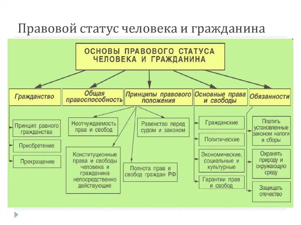 Правовой статус человека. Принципы правового статуса человека и гражданина. Конституционные принципы правового статуса личности. Основные конституционные принципы статуса человека и гражданина.