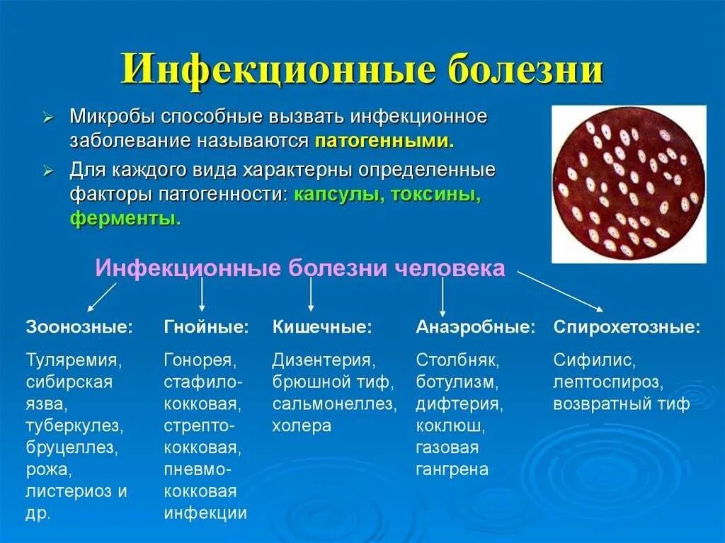 Какие бывают инфекции