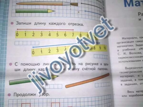 Длина каждый день