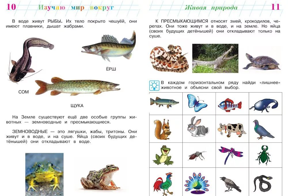 Мир вокруг 6 7. Окружающий мир Ломоносовская школа 6-7 лет. Ломоносовская школа. Изучаю мир вокруг: для детей 6-7 лет. Изучаю мир вокруг для детей 6-7. Мир вокруг нас задания для дошкольников.