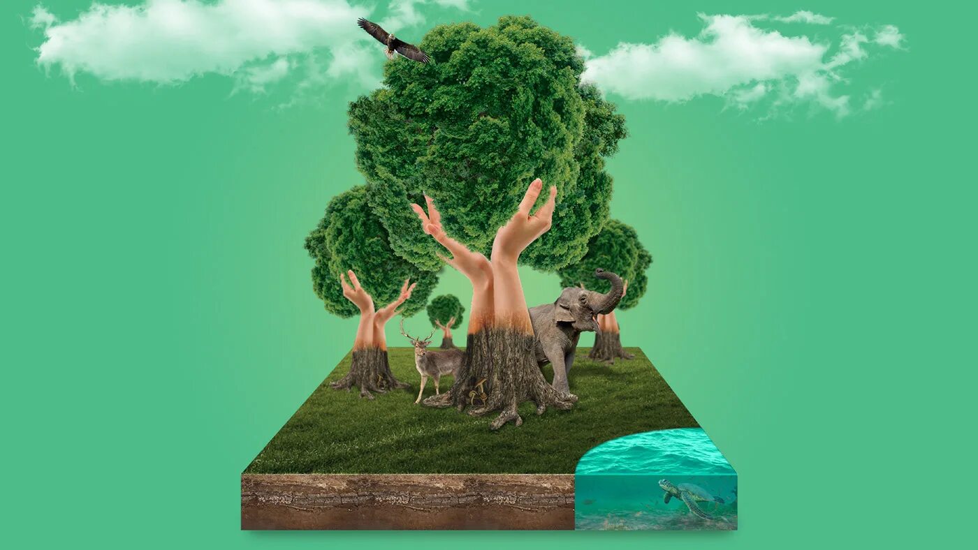 Tree 00