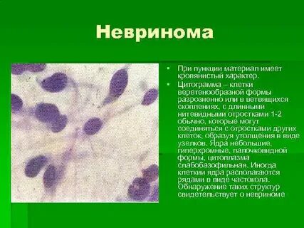 Цитология 9 класс