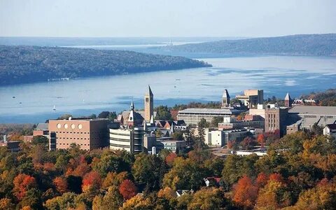 Cornell university