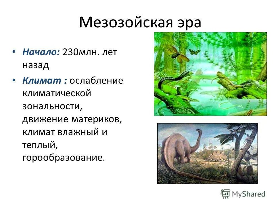 Сколько длилась мезозойская эра. Мезозойская эра началась. млекопитающие мезозойской эры.