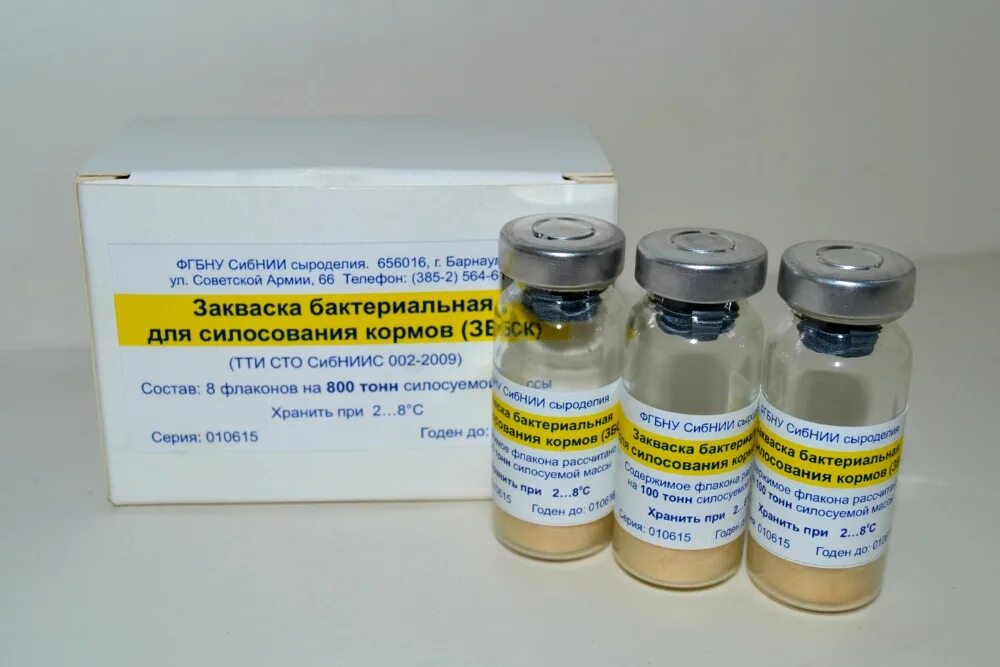 Бактерии для закваски йогурта. Микроорганизмы заквасок. Закваска в аптеке. Закваски для молочных продуктов. Перечислить основные виды заквасок.