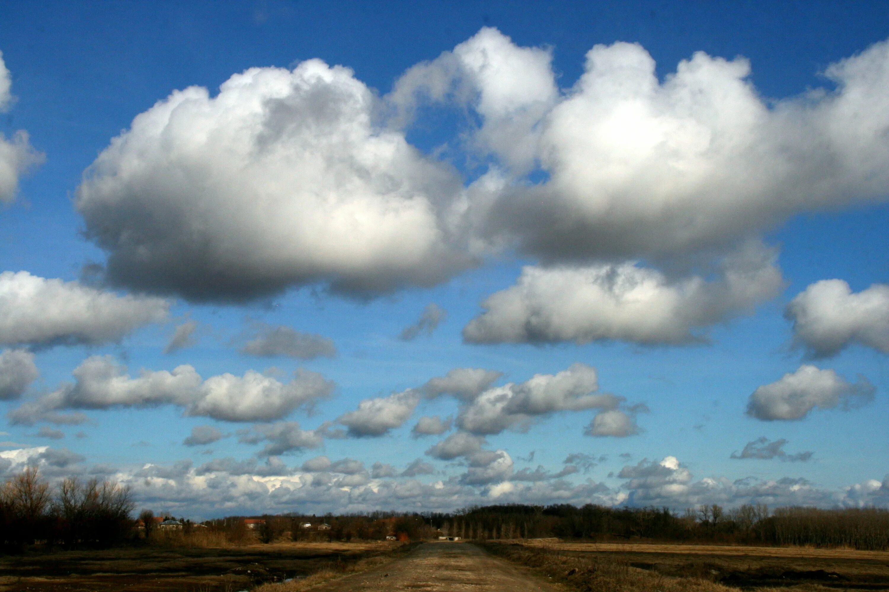 От сер облака. Кучево-дождевые облака. Облака Кучевые пушистые. Кучевые облака облака. Белые Кучевые облака.