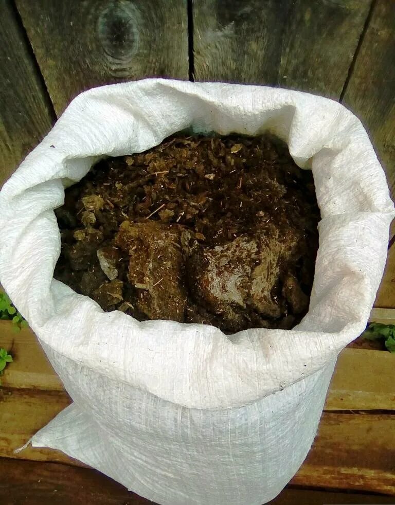 навоз перегной. навоз коровий. конский перегной. конский навоз в мешках. перегной.