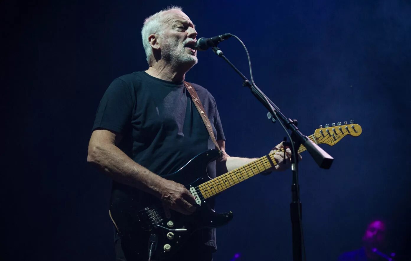 Дэвид гилмор фото. Солист пинк флойд дэвид гилмор. David gilmour. Дэвид гилмор 1973. Гитарист дэвид гилмор.