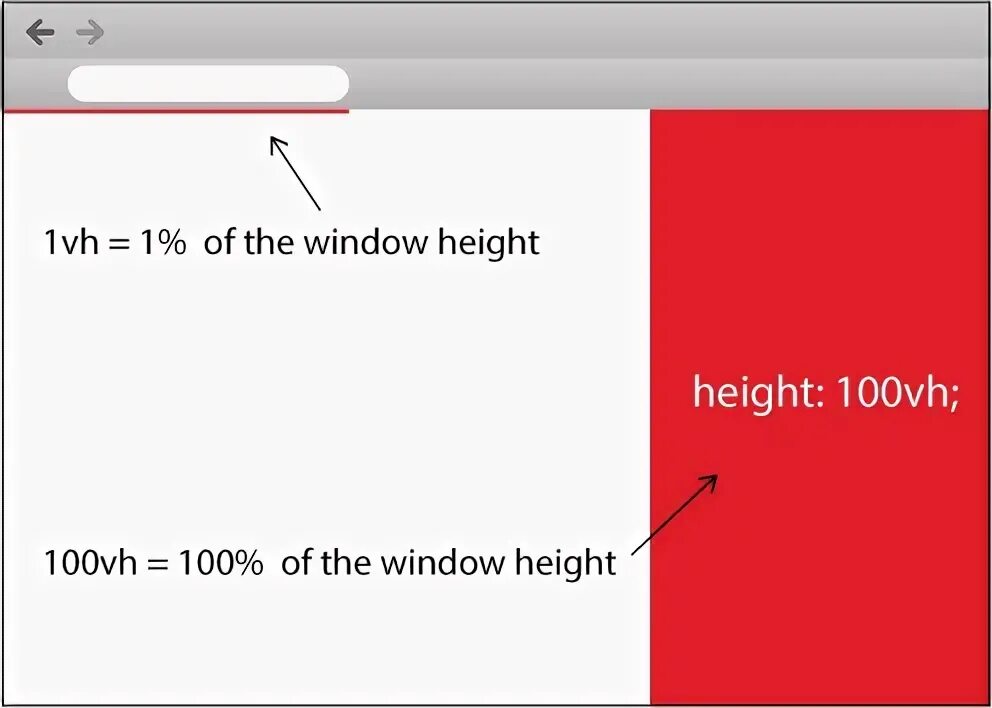 Цвет браузера CSS. 100vh CSS что это.