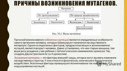 Почему хозяйственная деятельность человека увеличивает мутагенное влияние